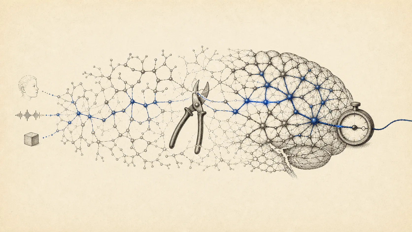 Ink-on-bone engraving on mostly empty paper: a loose neural web absorbs a face, a sound wave, and a wooden block before antique pruning shears trim its pale branches; the network grows into a detailed brain whose stronger connections carry a single indigo thread through a calibration dial and beyond the right edge, still unfinished.